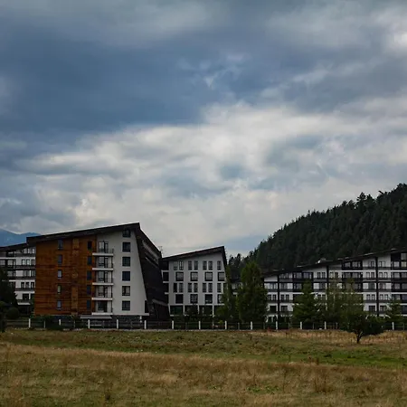 Aspen Valley Sun Rays A102