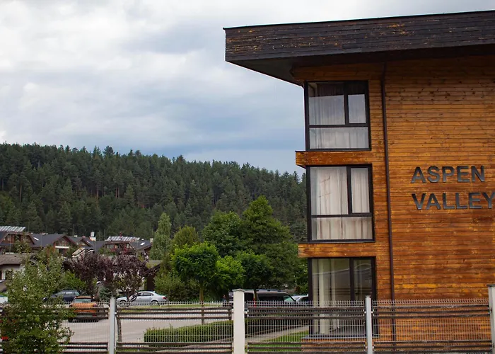 Aspen Valley Sun Rays A102 *