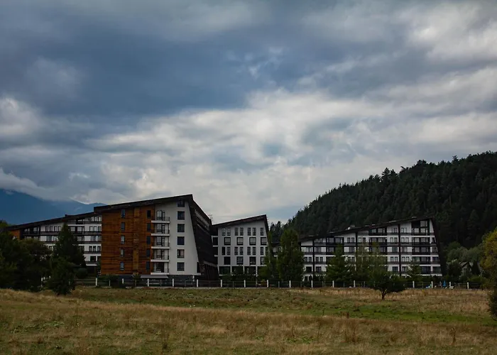 Aspen Valley Sun Rays A102